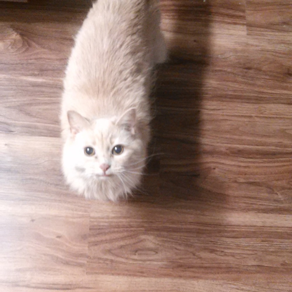 Meet your Posher, Jenny